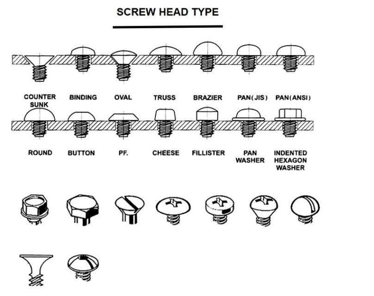 What Are the Different Types of Screws | The Guide to Buying the Right ...