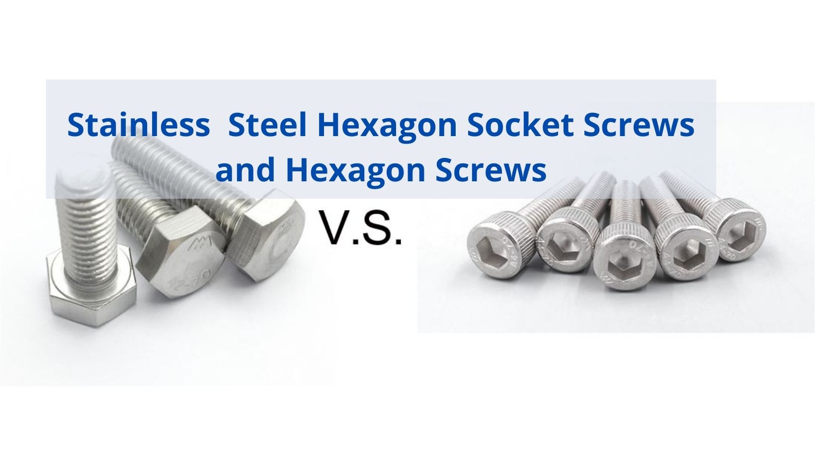 What is the Difference Between Stainless Steel Hexagon Socket Screws and Hexagon Screws
