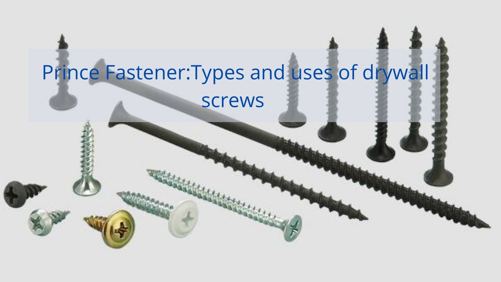 What Are the Different Types of Screw?