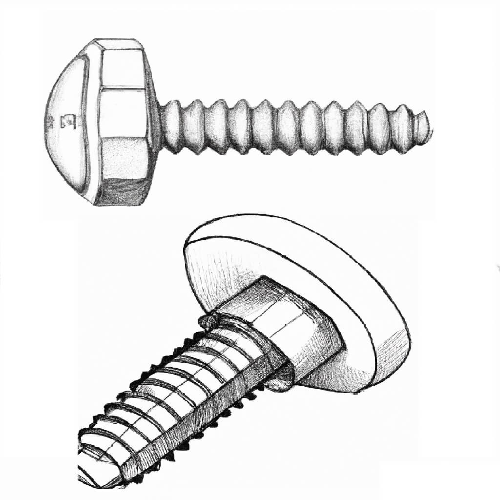 Figure 1. Wafer head screws