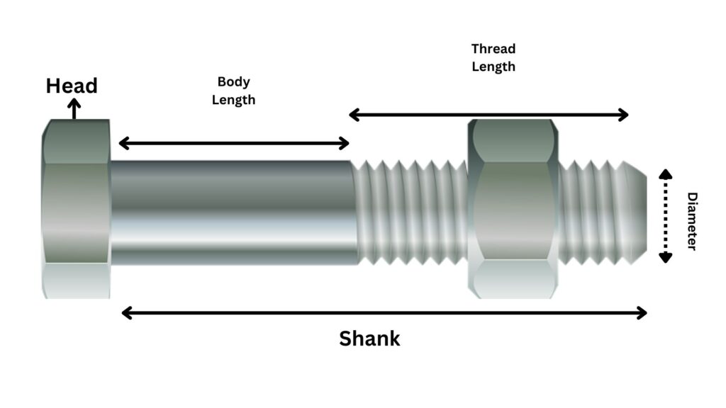 Partes del cuerpo del perno