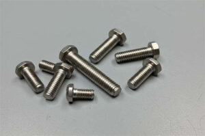 Stainless Steel Carriage Bolt prince fastener