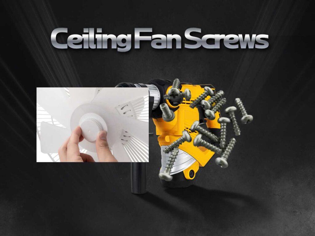 Ceiling Fan Screws